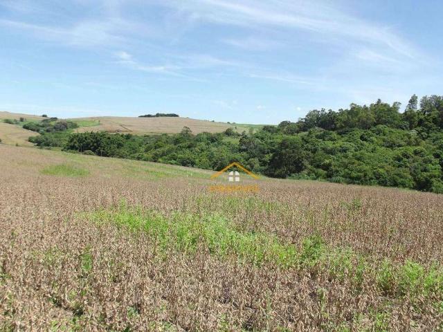 Fazenda venda em Região Geográfica Imediata de Santo Antônio da Platina, Santo Antônio da Platina