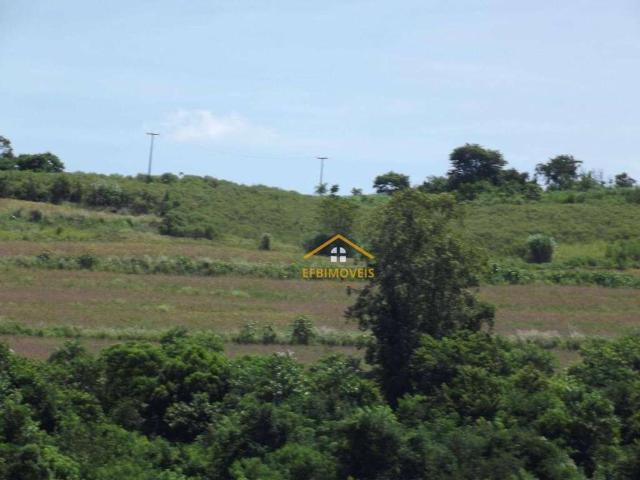 Fazenda venda em Região Geográfica Imediata de Santo Antônio da Platina, Santo Antônio da Platina