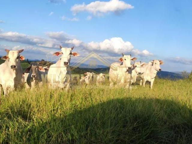 Sítio e chácara venda em Região Geográfica Imediata de Lavras, Santo Antônio do Amparo