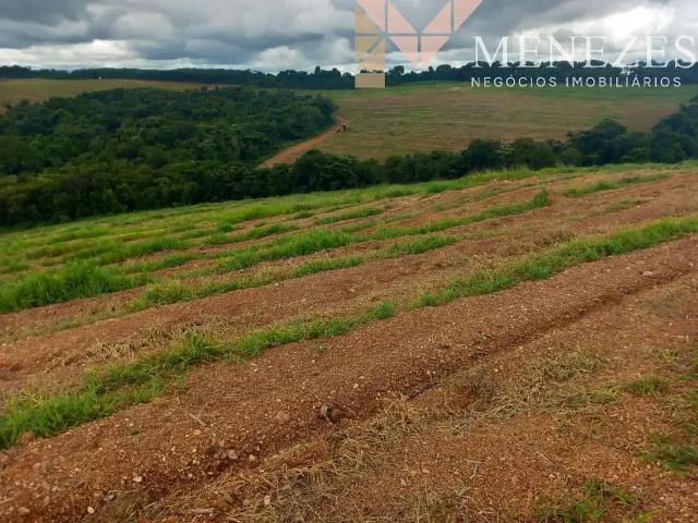 Fazenda venda em Região Geográfica Imediata de Lavras, Santo Antônio do Amparo