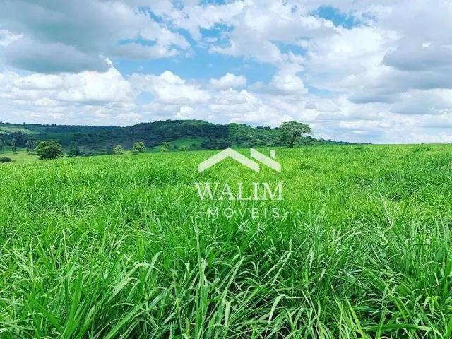 Fazenda venda em Região Geográfica Imediata de Lavras, Santo Antônio do Amparo