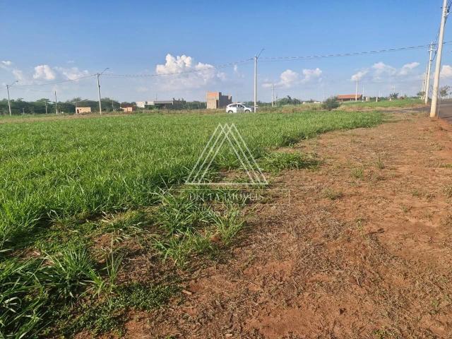 Fazenda venda em Santo Antônio do Aracanguá, Região Geográfica Intermediária de Araçatuba