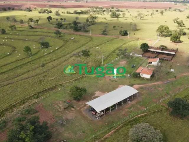 Fazenda venda em Região Imediata de Araçatuba, Santo Antônio do Aracanguá