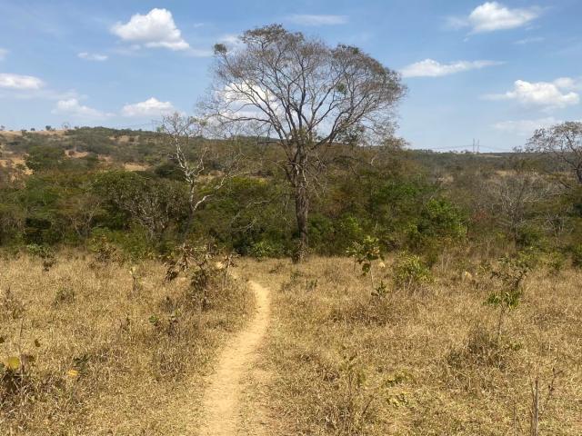 Fazenda venda em Santo Antônio do Descoberto, Região Geográfica Intermediária de Luziânia-Águas Lindas de Goiás