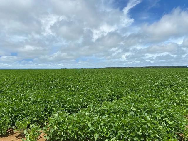 Fazenda venda em Região Geográfica Imediata de Primavera do Leste, Santo Antônio do Leste