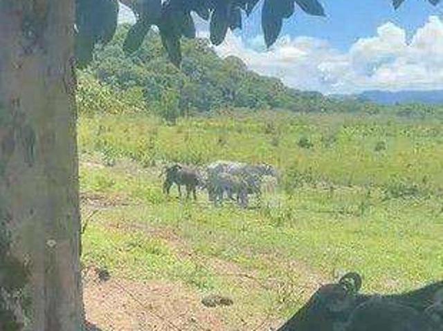 Fazenda venda em Santo Antônio do Leste, Região Geográfica Intermediária de Rondonópolis