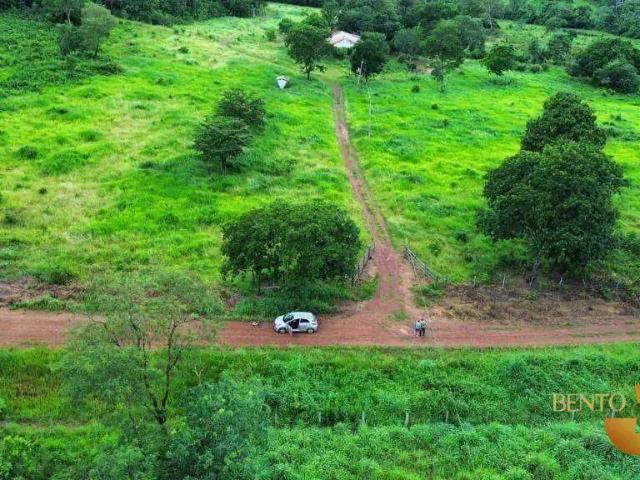Fazenda venda em Região Geográfica Imediata de Cuiabá, Região Metropolitana do Vale do Rio Cuiabá