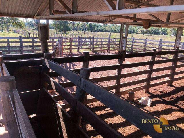 Fazenda venda em Santo Antônio de Leverger, Região Geográfica Intermediária de Cuiabá