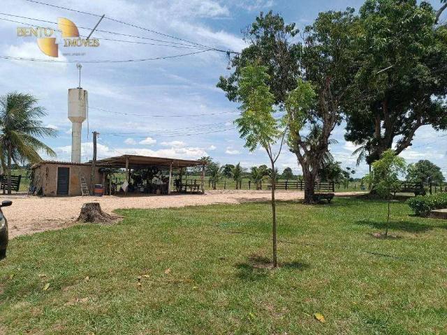 Fazenda venda em Região Geográfica Imediata de Cuiabá, Região Metropolitana do Vale do Rio Cuiabá