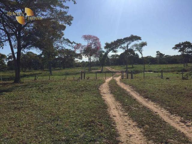 Fazenda venda em Região Geográfica Imediata de Cuiabá, Região Metropolitana do Vale do Rio Cuiabá