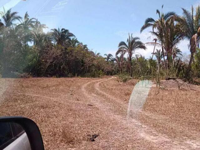 Fazenda venda em Região Geográfica Imediata de Cuiabá, Região Metropolitana do Vale do Rio Cuiabá