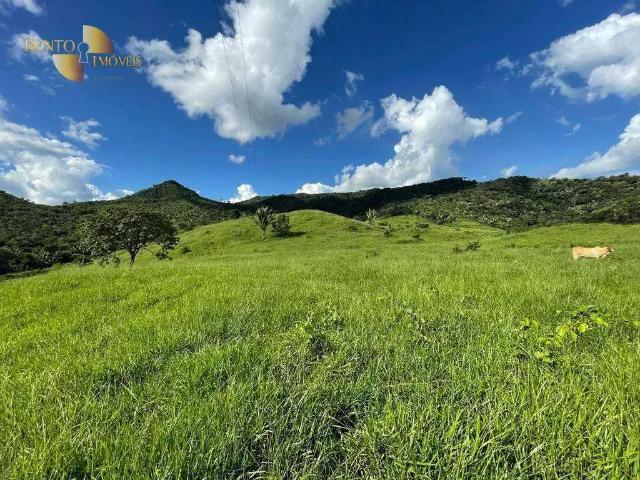 Fazenda venda em Região Geográfica Imediata de Cuiabá, Região Metropolitana do Vale do Rio Cuiabá