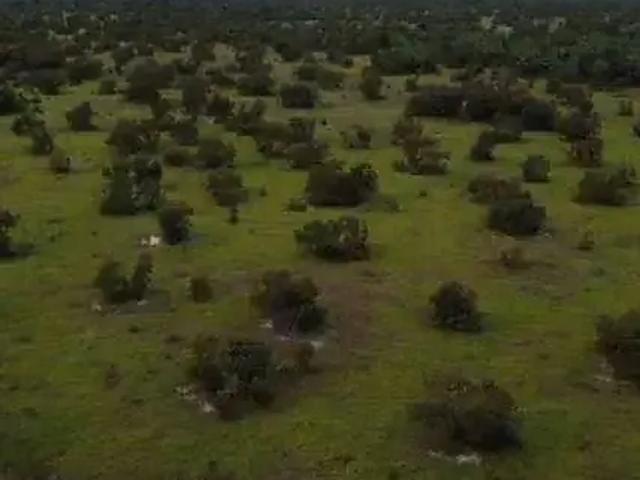 Fazenda venda em Região Geográfica Imediata de Cuiabá, Região Metropolitana do Vale do Rio Cuiabá