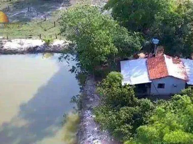 Fazenda venda em Região Geográfica Imediata de Cuiabá, Região Metropolitana do Vale do Rio Cuiabá