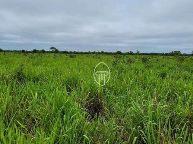 Fazenda venda em Região Geográfica Imediata de Cuiabá, Região Metropolitana do Vale do Rio Cuiabá