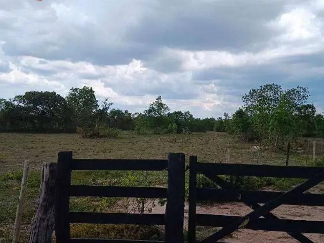 Fazenda venda em Região Geográfica Imediata de Cuiabá, Região Metropolitana do Vale do Rio Cuiabá
