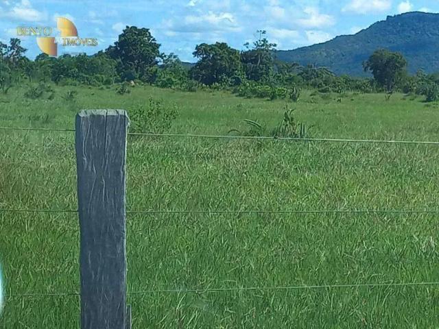 Fazenda venda em Região Geográfica Imediata de Cuiabá, Região Metropolitana do Vale do Rio Cuiabá