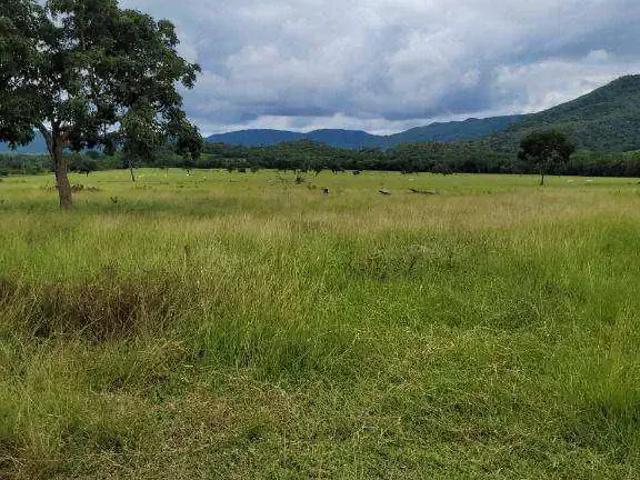 Fazenda venda em Região Geográfica Imediata de Cuiabá, Região Metropolitana do Vale do Rio Cuiabá