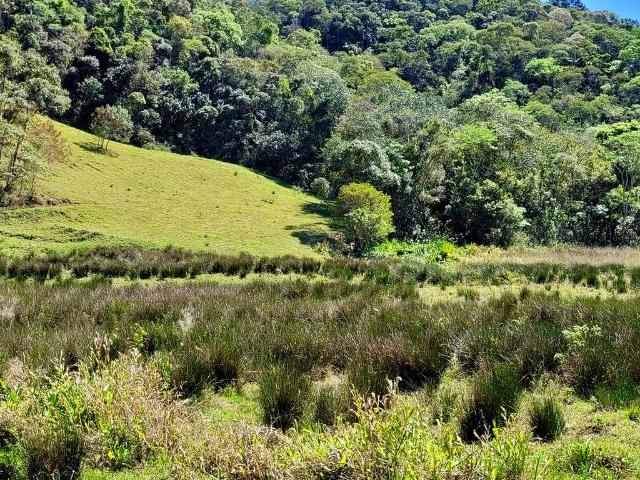 Fazenda venda em Santo Antônio do Pinhal, Região Geográfica Intermediária de São José dos Campos