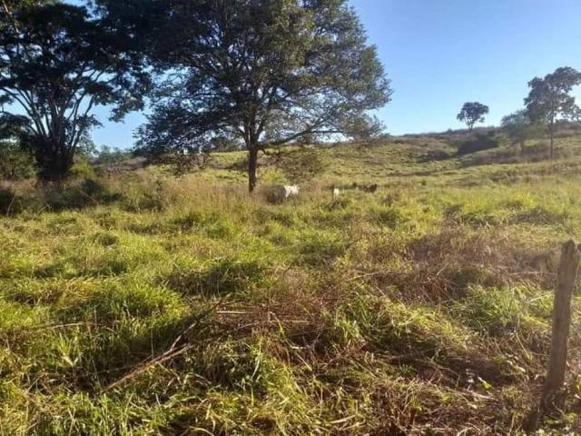Fazenda venda em Senhora da Glória, Santo Hipólito