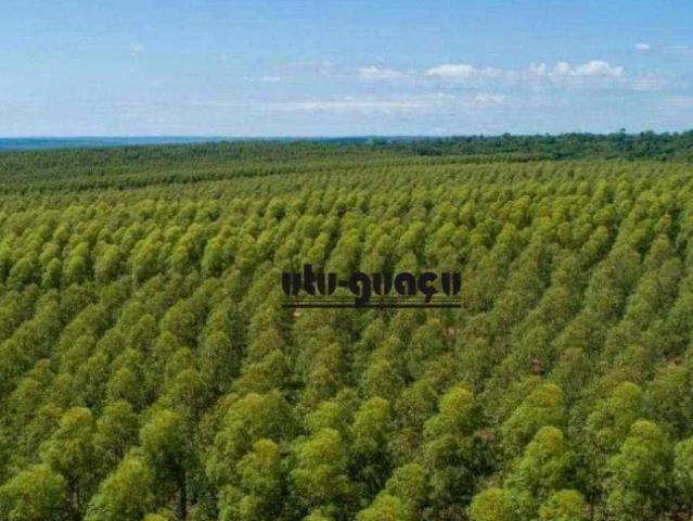 Fazenda venda em Vila Progresso, Santos