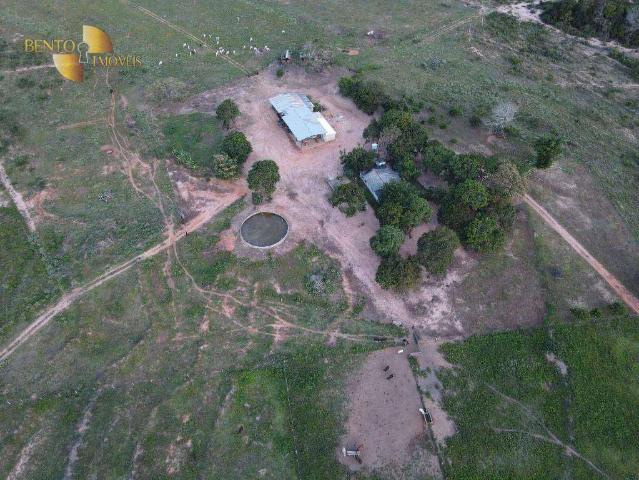 Fazenda venda em Sapezal, Região Geográfica Intermediária de Cuiabá