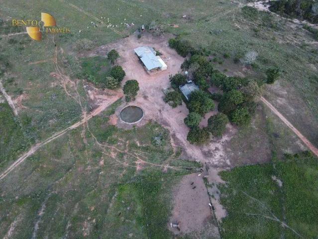 Fazenda venda em Região Geográfica Imediata de Tangará da Serra, Sapezal