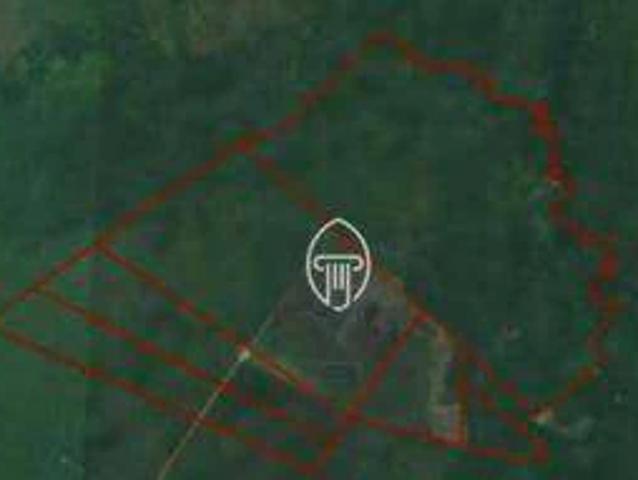 Fazenda venda em Sapezal, Região Geográfica Intermediária de Cuiabá