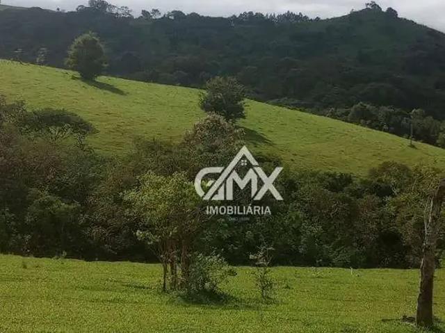 Fazenda venda em Região Geográfica Imediata de Cornélio Procópio-Bandeirantes, Sapopema