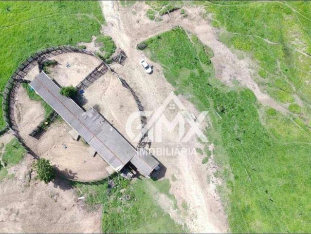 Fazenda venda em Sapopema, Região Geográfica Intermediária de Londrina