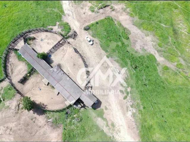 Fazenda venda em Região Geográfica Imediata de Cornélio Procópio-Bandeirantes, Sapopema