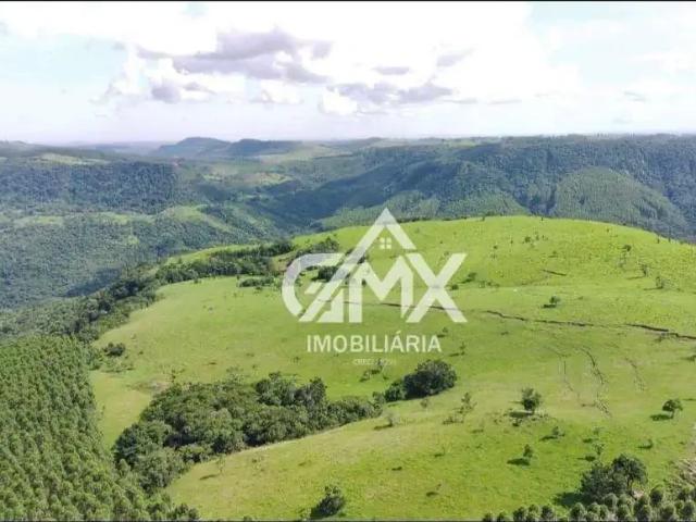 Fazenda venda em Região Geográfica Imediata de Cornélio Procópio-Bandeirantes, Sapopema