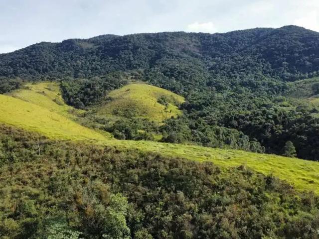 Fazenda venda em Sapucaí-Mirim, Região Geográfica Intermediária de Pouso Alegre