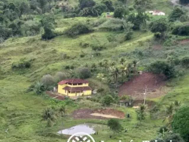 Fazenda venda em Região Imediata de São José do Rio Pardo-Mococa, Região Metropolitana de Ribeirão Preto