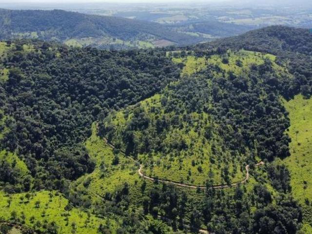 Sítio e chácara venda em Região Geográfica Imediata de Belo Horizonte, Região Metropolitana de Belo Horizonte