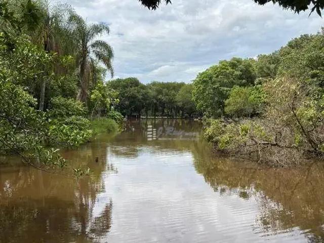 Fazenda venda em Região Imediata de Ribeirão Preto, Região Metropolitana de Ribeirão Preto