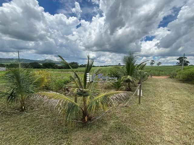 Fazenda venda em Região Imediata de Ribeirão Preto, Região Metropolitana de Ribeirão Preto