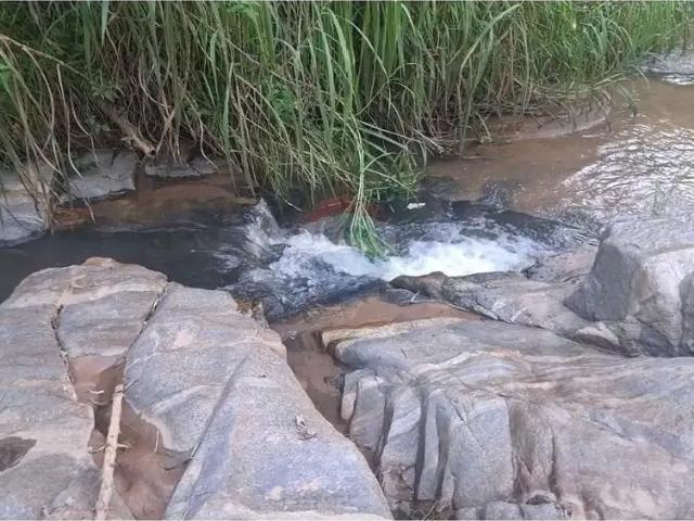Fazenda venda em Região Imediata de Amparo, Serra Negra