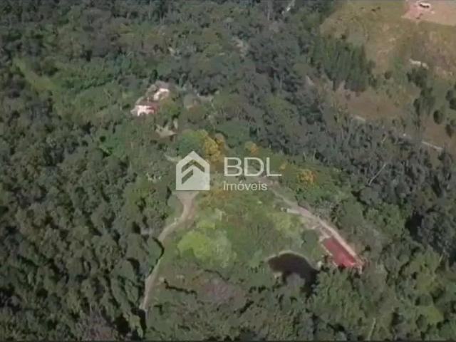 Fazenda venda em Região Imediata de Amparo, Serra Negra