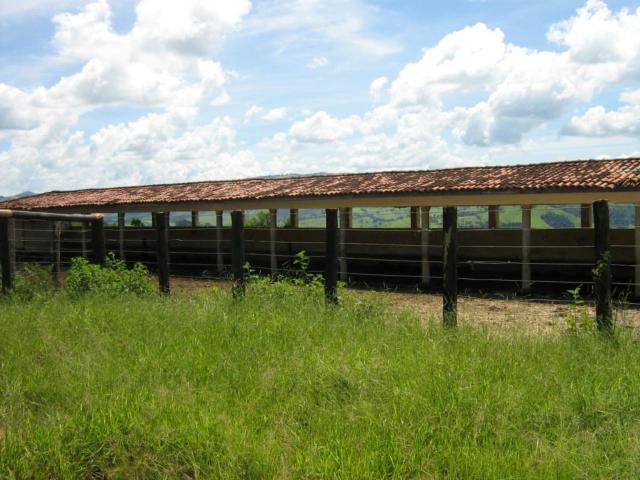 Fazenda venda em Lindoia