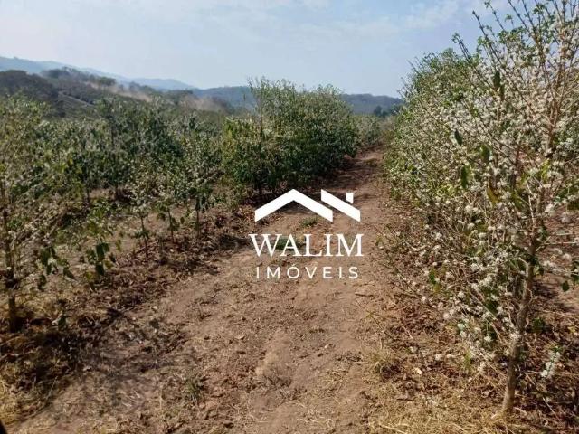 Fazenda venda em Região Geográfica Imediata de Alfenas, Serrania