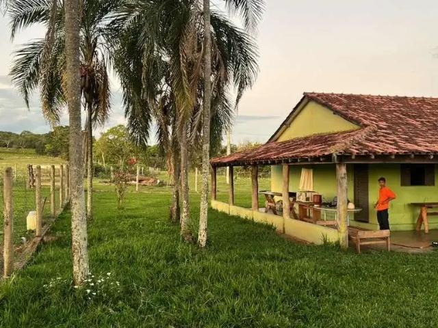 Fazenda venda em Região Geográfica Imediata de Jataí-Mineiros, Serranópolis
