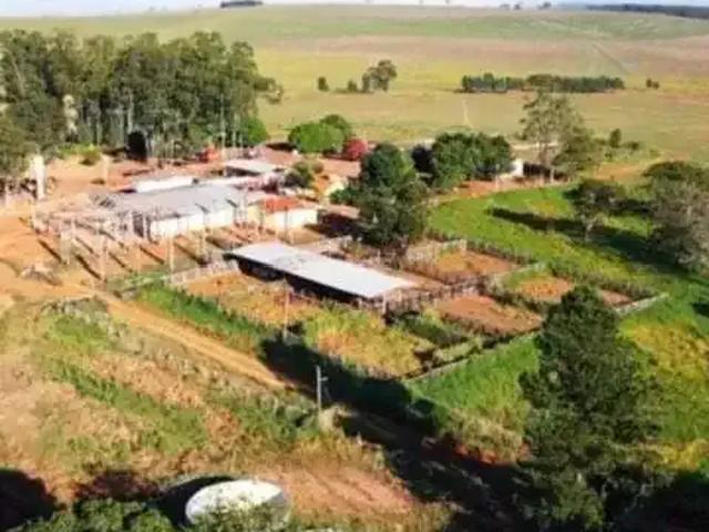 Fazenda venda em Região Geográfica Imediata de Jataí-Mineiros, Serranópolis