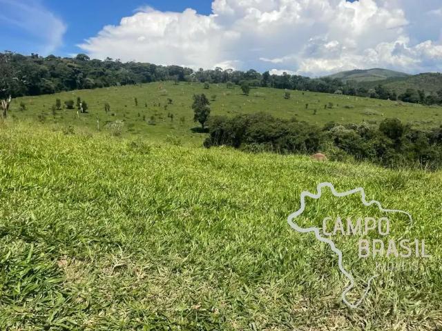 Fazenda venda em Região Geográfica Imediata de Caxambu - Baependi, Serranos