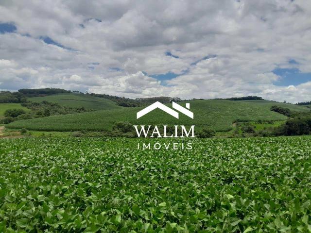 Fazenda venda em Região Geográfica Imediata de Caxambu - Baependi, Serranos