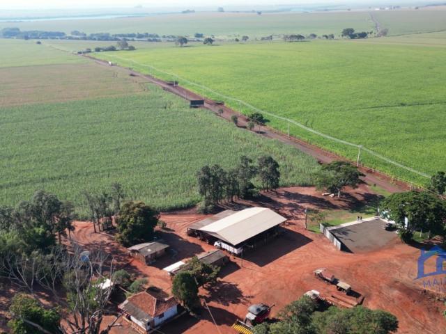 Fazenda venda em Sertaneja, Região Geográfica Intermediária de Londrina