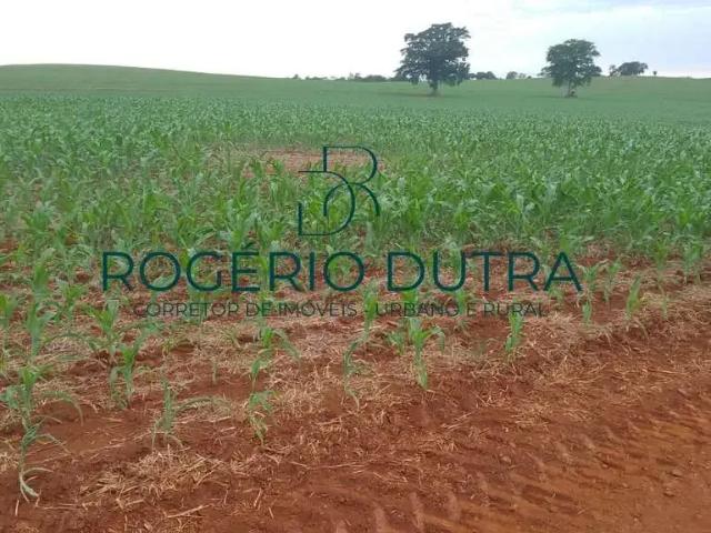 Fazenda venda em Região Geográfica Imediata de Cornélio Procópio-Bandeirantes, Sertaneja