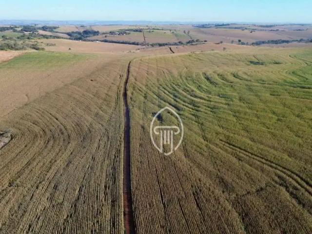 Fazenda venda em Região Geográfica Imediata de Londrina, Ibiporã