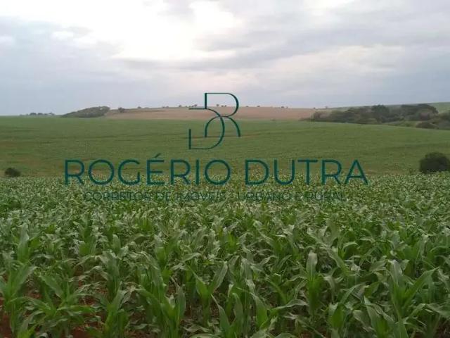 Fazenda venda em Região Geográfica Imediata de Cornélio Procópio-Bandeirantes, Sertaneja