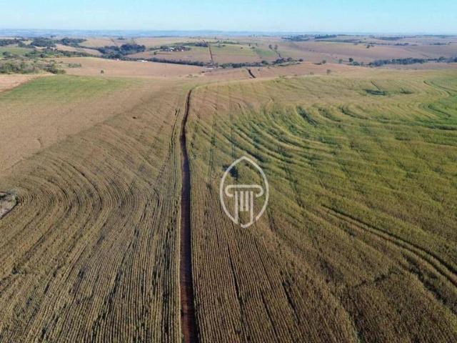 Fazenda venda em Região Geográfica Imediata de Londrina, Ibiporã